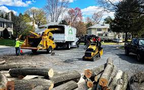 Best Organic Lawn Care Solutions  in Perryville, MD