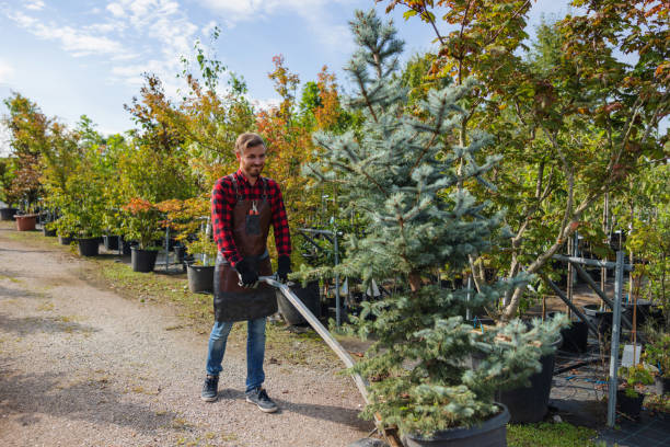 Best Lawn Watering Services  in Perryville, MD